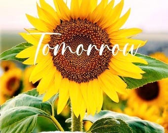 I Know Who Holds Tomorrow-Cancer, Grief, and God’s faithfulness through the eyes of a twelve year old.