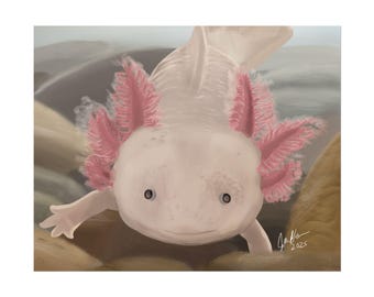 Axolotl Portrait Art, Axolotl Painting, Rolled Posters