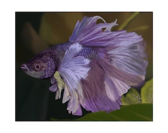 Betta fish portrait painting, Fish art, Matte Horizontal Posters