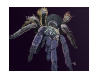 Malowanie portretów tarantuli, sztuka pająków, plakaty w rolkach