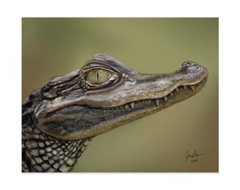 フロリダアリゲーター - オリジナル絵画のサイン入り8インチ×10インチ