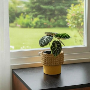 Cement plantenbak met blad, geweven gevlochten textuur, rustieke kamerplant