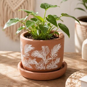Può includere: Un vaso per piante in terracotta con sottovaso abbinato, caratterizzato da un motivo a foglie di palma inciso in bianco. Il vaso contiene una pianta verde con foglie a forma di cuore. La superficie esterna del vaso in argilla è liscia e opaca.