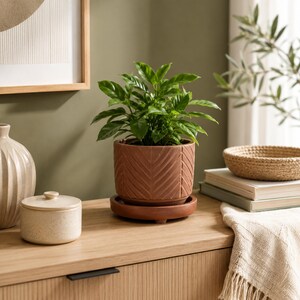 Terracotta planter pot with saucer, modern textured plant pot, chevron herringbone design, plant pot for indoor plants and succulents