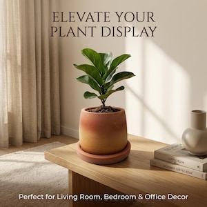 Könnte beinhalten: Ein terrakottafarbener Keramik-Pflanztopf mit passendem Untersetzer, der eine kleine grüne Geigenfeige enthält. Der Text "ELEVATE YOUR PLANT DISPLAY" ist oben sichtbar, und "Perfect for Living Room, Bedroom & Office Decor" steht am unteren Rand.