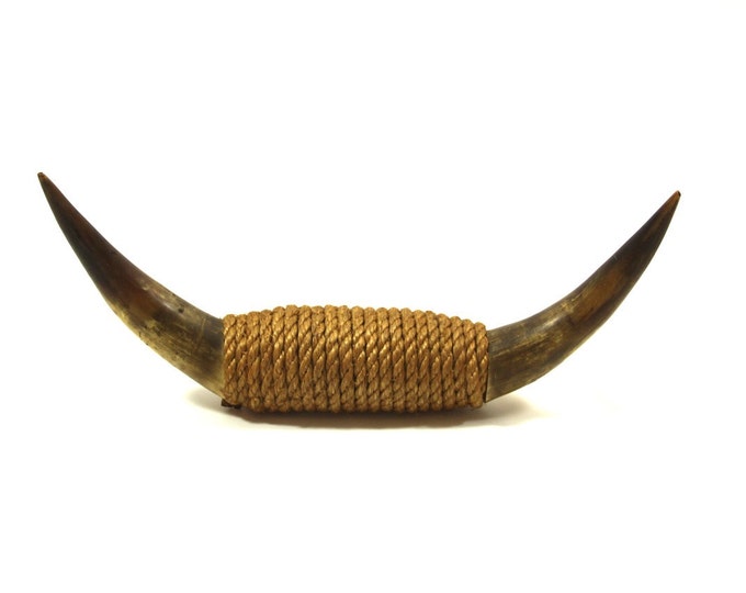 Set of Bull Horns Etsy