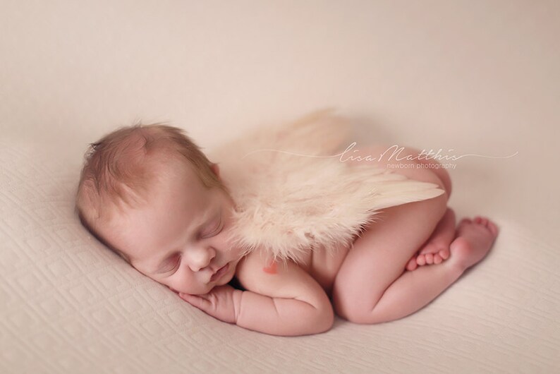 Newborn Photo Prop Angel Wings WITH elastic straps Beautiful Ready to ship Cream feather Gender Neutral Newborn baby Ivory