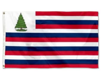 Bandera histórica de Nueva Inglaterra 1775, Apelación al Cielo, tapiz, cueva del hombre