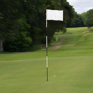 Pu&ograve; includere: Una bandiera da golf bianca semplice fissata a un'asta alta e sottile con strisce orizzontali alternate bianche e nere. La bandiera &egrave; posizionata in verticale al centro di un campo da golf in erba verde con alberi sullo sfondo.