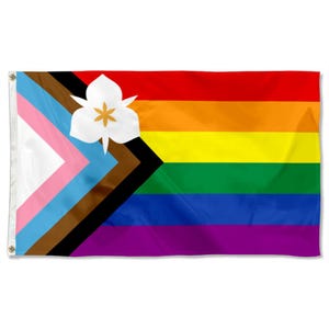 Salt Lake City Utah Rainbow Progressive Pride Flags Gobelängbanderoll Man cave