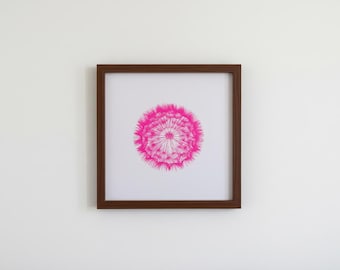 May include: A framed print featuring a vibrant pink dandelion design on a white background. The artwork is encased in a square, dark brown wooden frame, creating a striking contrast against the white wall.
