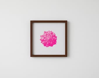 May include: Square framed art print featuring a vibrant pink fractal design on a white background. The artwork is encased in a dark brown wooden frame, creating a striking contrast. The print is centered, showcasing the intricate details of the fractal.
