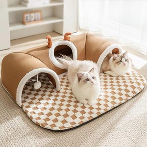 Könnte beinhalten: Ein braunes Katzenbett mit Tunneldesign und karierter Grundfläche. Das Bett hat weiße Verzierungen und ein kleines hängendes Spielzeug. Zwei Katzen ruhen auf dem Bett.