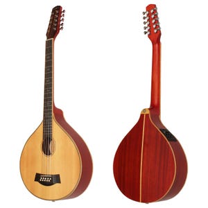 May include: Two-image composition of a mandolin-style instrument. The front view shows a light wood soundboard with a dark bridge and rosette. The side view reveals a reddish-brown back and neck. The instrument has tuning pegs and frets.
