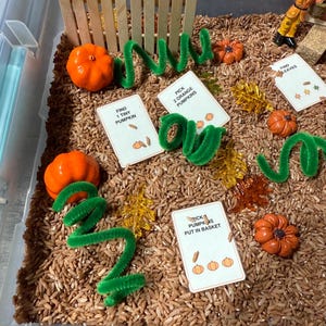 May include: A sensory bin filled with brown rice, featuring orange pumpkin figurines, green pipe cleaner vines, a wooden picket fence, translucent yellow and orange leaf shapes, and cards with text including Find 1 Tiny Pumpkin and Pick 2 Orange Pumpkins.