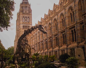 Natural History Museum, London, Dinosaur Portrait