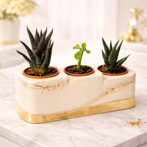 Triple Succulent Planter STL – 3-Hole Desktop Pot, Minimalist Vase (Digital Download)