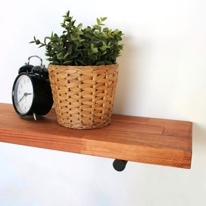 May include: A wooden floating shelf with a black alarm clock and a potted plant. The shelf is made of reddish-brown wood and has a black metal bracket. The clock is black with a white face.