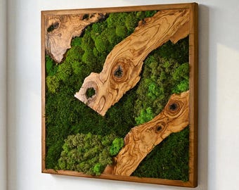 Square Moss Wall Art with Live Edge Olive Wood, Preserved Green Panel Decor, Handmade Botanical Accent, New Home Gift