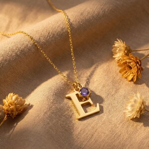 Personalized Initial Necklace with Birthstone, Gold, Silver, Rose Letter with Birthstone Necklaces, Gift for Her Birthday, Christmas Gifts