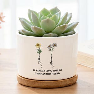 May include: A white ceramic cylindrical planter containing a green succulent. The planter features two floral illustrations with the names Debbie and Shannon, and the text IT TAKES A LONG TIME TO GROW AN OLD FRIEND. It sits on a round wooden base.