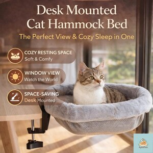 May include: A desk-mounted cat hammock bed with a gray, plush interior. The bed is attached to a desk with a black clamp. A tabby cat is resting inside the hammock. Text on the image reads "Desk Mounted Cat Hammock Bed".