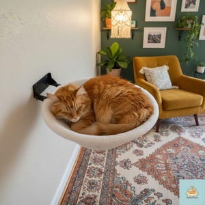 Op de afbeelding: Een pluizige, oranje kat slaapt in een wit, aan de muur bevestigd kattenbed. Het bed heeft een zachte, ronde vorm en is bevestigd aan een zwarte metalen beugel. De kat ligt comfortabel opgerold, wat een gezellige en uitnodigende scène creëert.