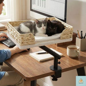 May include: A cat bed attached to a desk with two kittens. The bed is a woven basket with a white, fluffy cushion. One kitten is gray and white, the other is black. The bed is mounted on a black adjustable arm.