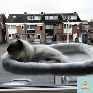May include: A fluffy, light-colored cat rests in a window-mounted cat bed. The bed is white and plush, attached to the window with suction cups. The cat is a mix of light and dark colors, with a relaxed posture. The background shows a residential area.