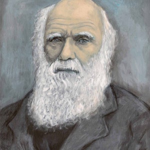 Carlo Darwin