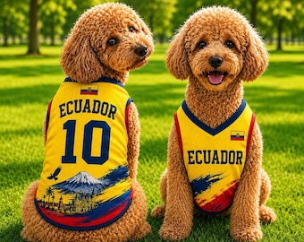 Maglia da calcio per cani dell'Ecuador, maglietta per animali domestici con bandiera ecuadoriana, completo giallo da calcio per cuccioli, abbigliamento sportivo per cani numero 10, regalo per amanti dei cani