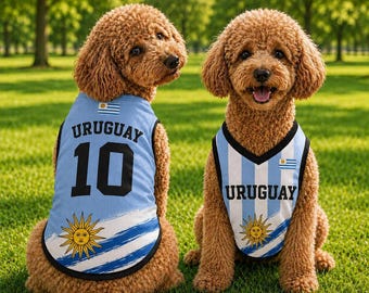 Uruguay hond voetbalshirt, Uruguayaanse vlag huisdier shirt, nummer 10 voetbal puppy outfit, aangepaste kleding hondensport fan, hondenliefhebber cadeau