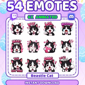 Può includere: Una collezione digitale di 54 emote raffiguranti un gatto bianco e nero con un collare rosa. Il set include 6 opzioni animate con espressioni testuali come WTF, LOL, NOOOO, BEAST MODE, YOU GOT THIS, OMG e LET'S GO in varie pose.