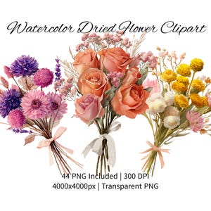 Puede incluir: Ilustración en acuarela de tres ramos de flores secas. Los ramos presentan rosas, margaritas y otras flores en tonos rosa, naranja, amarillo y morado. Cada ramo está atado con una cinta. El texto "Watercolor Dried Flower Clipart" está en la parte superior.