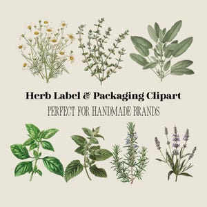 May include: Botanical illustrations of various herbs, including chamomile, thyme, sage, basil, mint, rosemary, and lavender. The image includes the text "Herb Label & Packaging Clipart PERFECT FOR HANDMADE BRANDS."