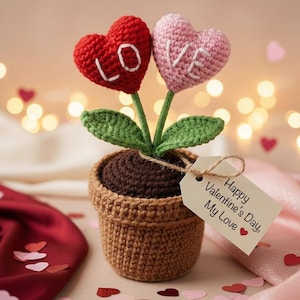 May include: A crocheted Valentine's Day decoration featuring two heart-shaped flowers in a woven pot. One red heart says "LOVE", the other pink heart says "LOVE". A tag reads "Happy Valentine's Day, My Love".