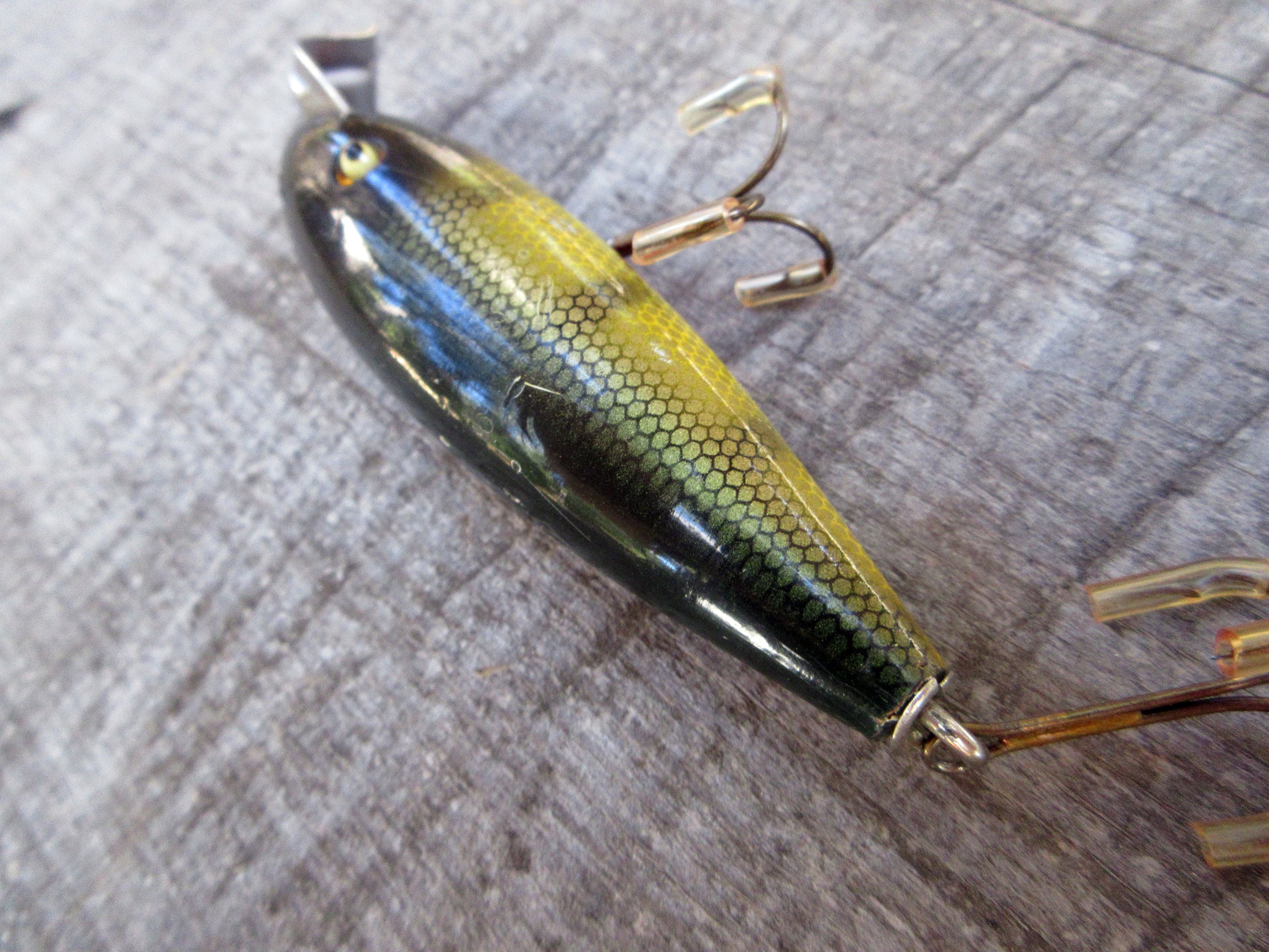 Creek Chub Injured Minnow. Excellent Condition. Vintage
