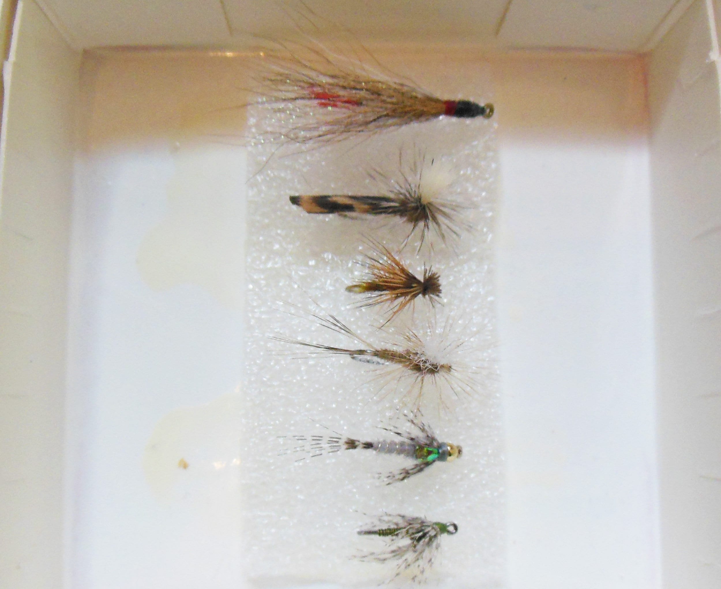 March Madness Trout Flies Size choice Fishing Flies Goldhead 6 Pack 
