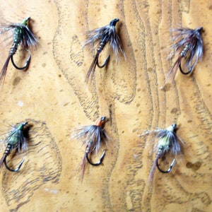Fliegenfischen AP Emerger Muster auf Forelle, Fasan Tails in multicolor