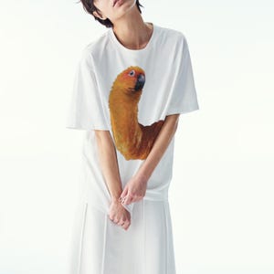 May include: White t-shirt with a large illustration of a parrot. The parrot is depicted with orange, yellow, and brown plumage and a black beak. The t-shirt is worn with a white skirt.