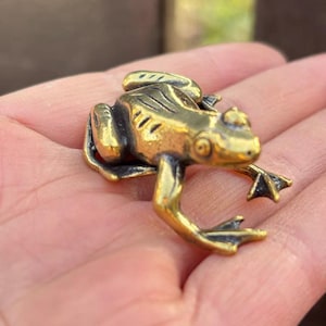 Puede incluir: Pequeña figura de rana de latón detallada. La rana está posada con las patas extendidas, mostrando sus patas palmeadas. El latón tiene un acabado dorado pulido, y los rasgos de la rana están claramente definidos.