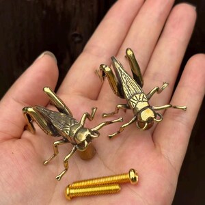 2-delige messing sprinkhaankast pull vintage enkel gat ladehandvat meubelbeslag met schroeven