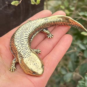 May include: A detailed brass salamander figurine with textured skin and tiny legs. The golden-colored sculpture is held in a hand, showcasing its curved body and lifelike features. The background features green foliage.