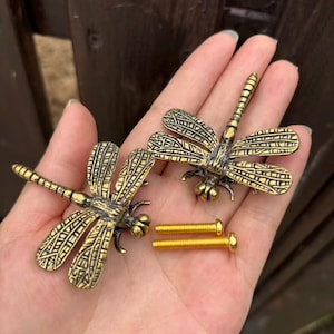 May include: Two antique brass-colored dragonfly-shaped cabinet knobs with intricate wing detailing and two matching gold-toned metal mounting screws. The dragonfly knobs feature a textured body and wings with a dark patina finish in the recessed areas.