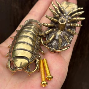 May include: Two brass-colored metal drawer knobs shaped like pill bugs or isopods. One knob is shown from the top with a segmented shell, while the other is flipped to show the underside with a central threaded post. Two gold-colored screws are included.