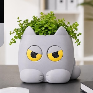 Peut inclure: Un pot de fleurs gris en forme de chat avec des yeux jaunes et une expression renfrognée, rempli de plantes vertes. Le pot est posé sur un bureau avec un ordinateur, un clavier et une souris. Un porte-stylo noir et un carnet sont également visibles.
