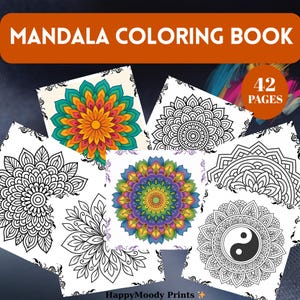 May include: A mandala coloring book with the text "MANDALA COLORING BOOK" at the top. The book features 42 pages of intricate mandala designs in various styles, including floral and geometric patterns. Some mandalas are colored, while others are black and white.