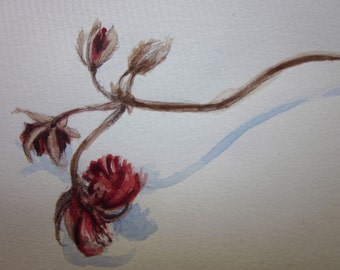 Bereft.  4x6 inch small romantic botanical illustration, dried red geranium flower stem drawing, acrylic, pencil