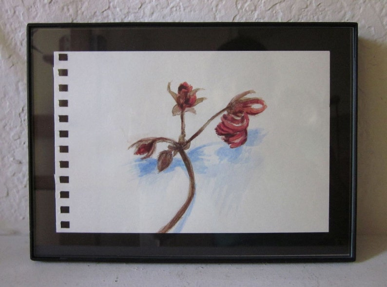 Steadfast. Small botanical illustration, romantic art, dried geranium flower stem, acrylic, pencil drawing, 6x4 inch, SFA image 5