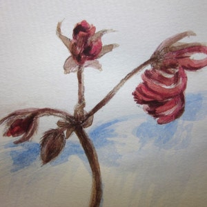 Steadfast. Small botanical illustration, romantic art, dried geranium flower stem, acrylic, pencil drawing, 6x4 inch, SFA image 1